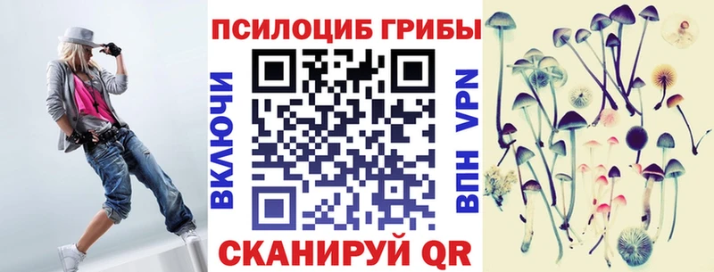продажа наркотиков  mega ссылка  Псилоцибиновые грибы GOLDEN TEACHER  Собинка 